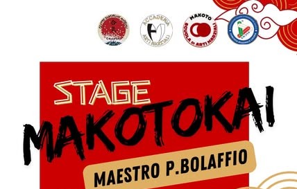 Stage arti marziali