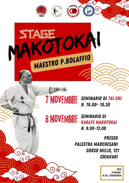 Stage arti marziali